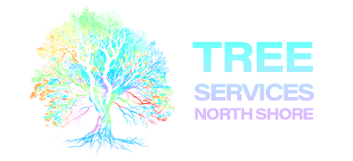 Tree Service North Shore Auckland