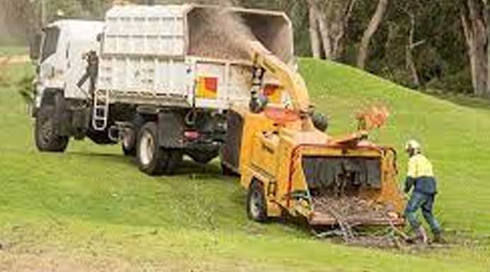 Christchurch tree services home page - tree cutting